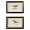 Black Wood Farmhouse Cottage Birds Wall Art Set